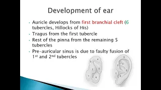 Development of Ear | ENT Lecture Series