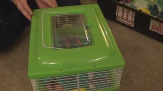 Unboxing of The Sugar Glider