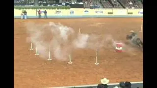 Annie Bianco 2010 AQHA World Show