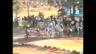 Australian BMX Titles 1984 - Mens Open & Pro Open Finals