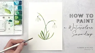 How To Paint A Watercolour Snowdrop