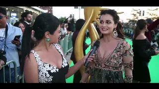 The eternal beauty Dia Mirza at IIFA 2017