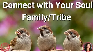 Energy to Connect You with Your Soul Family/Tribe