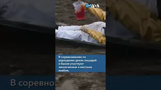 Родео для заключенных