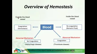 Hematology 2-1_Introduction to Hemostasis