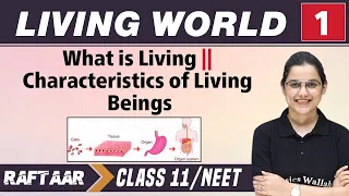 Living World 01 | What is Living | Characteristics of Living Being | Class 11/NEET || RAFTAAR