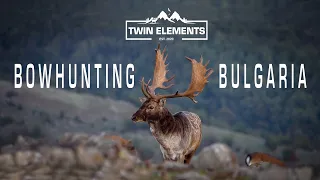 BOWHUNTING BULGARIA – Fallow Deer Rut, Hunt of a Lifetime! - Official Film - Twin Elements