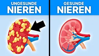 5 Lebensmittel, die du jeden Tag essen solltest, um deine Nieren zu schützen!