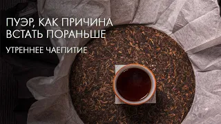 Приехал Пуэр — Разбираем Коробки | Art of Tea, китайский чай