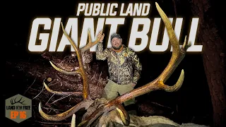 TRENT'S BULL OF A LIFETIME LOF4- EP16