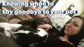 Knowing when it's time to say goodbye to our pets