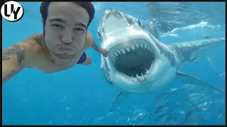 Why You Should Stop Being Afraid of Sharks