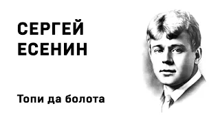 Сергей Есенин Топи да болота Учить стихи легко Аудио Стихи Слушать Онлайн