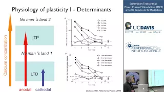 Physiological Basis of tDCS