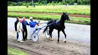 Резвейшие орловские рысаки 2013 года