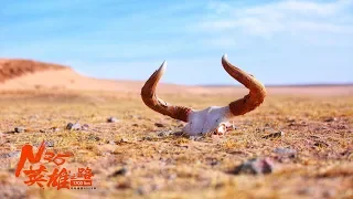 Relics of a lone walker found in no one area of Tibet, China