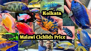 Aquarium मछली का कीमत | Kolkata Aquarium Fish Farm | Malawi Lake Fish