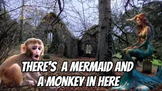 FOUND a MERMAID and a MONKEY In this graveyard, NOT CLICKBAIT
