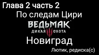 Ведьмак 3 Глава 2 По следам Цири часть 2 Новиград