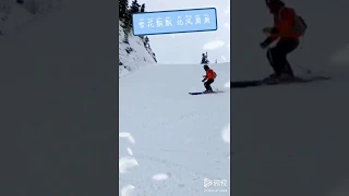 xue hua piao piao, bei feng xiao xiao, 雪花飘飘北风啸啸. Franz's @ Whistler Blackcomb.