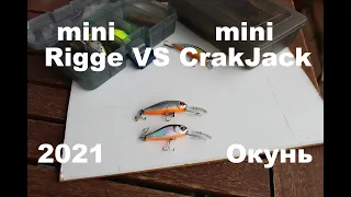 Все получилось! Потестил на Окунях Zip Baits Rigge 35f vs Poonton 21 CrackJack 38f. И влетел Бонус.