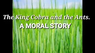 A Moral Story: The King Cobra and The Ants.