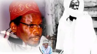 Quand serigne sam mbaye rencontre serigne Touba dans une forêt