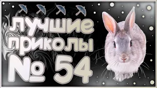 Лучшие приколы 54😂 очень смешные приколы 😂 10 минут смеха 😂 подборка приколов 😂 приколы 2019 год