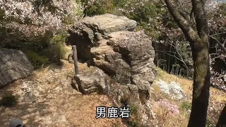 ときがわ町　弓立山男鹿岩