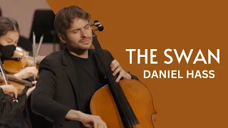 Camille Saint-Saëns: The Swan | Daniel Hass, cello