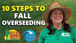 10 Idiot Proof Steps to Overseeding Your Lawn This Fall