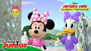 🥳 Zwierzakowe potrzeby | Myszka Miki: Zamieszani w przygody | Disney Junior Polska