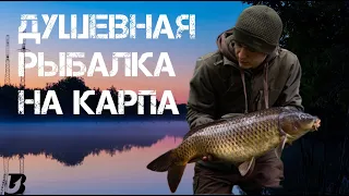 Душевная рыбалка на дикого карпа в мае!Поймали коряжных исполинов!Открытие сезона дикого карпфишинга