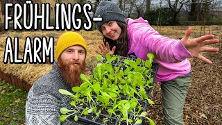 ONE YEAR OF SELF-SUFFICIENCY - CONCLUSION & SPRING PREPARATION I Farm Diary