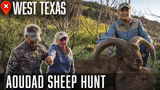 First EVER Texas AOUDAD Hunt, 84 Years Young | Wildlifers