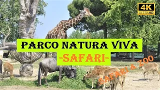 PARCO NATURA VIVA SAFARI | Verona | Safari Drive | 4K | Italy