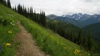 2 minutes of tranquility -  Pacific Crest Trail, near Mazama Washington.