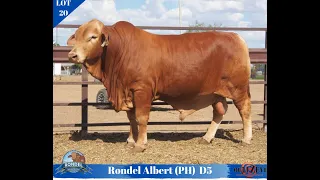 Lot 20 Albert