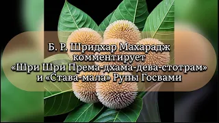 Б. Р. Шридхар Махарадж комментирует «Шри Шри Према-дхама-дева-стотрам» и «Става мала» Рупы Госвами