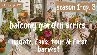 👩🏻‍🌾Vegetable Garden in My SMALL BALCONY | First Harvest, Tour & Fails | CONTAINER GARDEN S1 PART 3