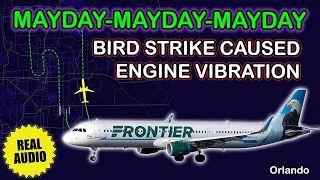 MAYDAY. Excessive engine vibration due to bird strike | Frontier Airbus A321 | Orlando, Real ATC