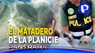 Matadero de La Planicie: mafia llega a cerros de La Molina para ejecutar y enterrar a sus enemigos