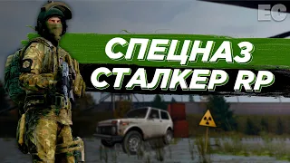 Самый глупый СПЕЗНАЗ ВОЕННЫХ STALKER RP DAYZ