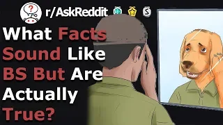 Facts That Sound So Fake They'll Blow Your Mind (r/Askreddit)