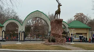 ZOO. Toshkent hayvonot boği  Hayvonot olamiga sayohat