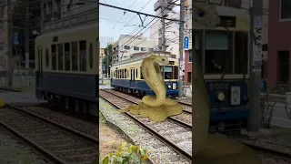 Train vs Snake Accident