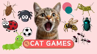 CAT GAMES - Catch Rolling Ball, Running Mouse, Flying Butterfly For Cats And Dogs To Watch - CAT TV