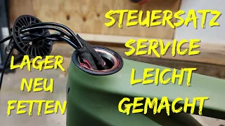 MTB Steuersatzlager Wartung | So fettest du deine Lager neu | #Cube Stereo Hybrid 160 TM