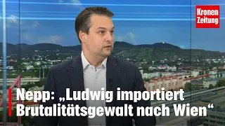 Nepp: „Ludwig importiert Brutalitätsgewalt nach Wien“ | krone.tv NACHGEFRAGT