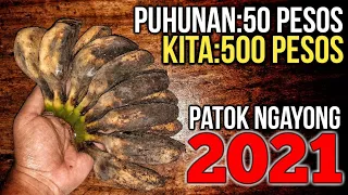 Gawin mo Ito sa SAGING SABA sa 50 PESOS na PUHUNAN KIKITA ka dito ng MALAKI at Patok na Patok Pa!